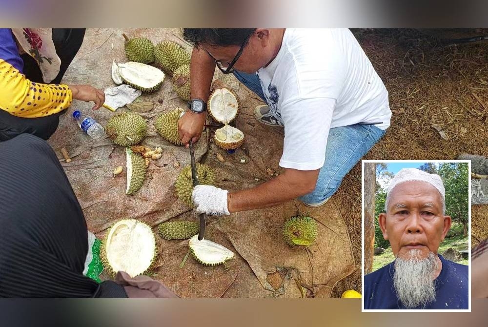 Orang ramai mengambil kesempatan makan durian di dusun Salleh di Kampung Lubuk Batu, Marang. (Gambar kecil: Salleh)