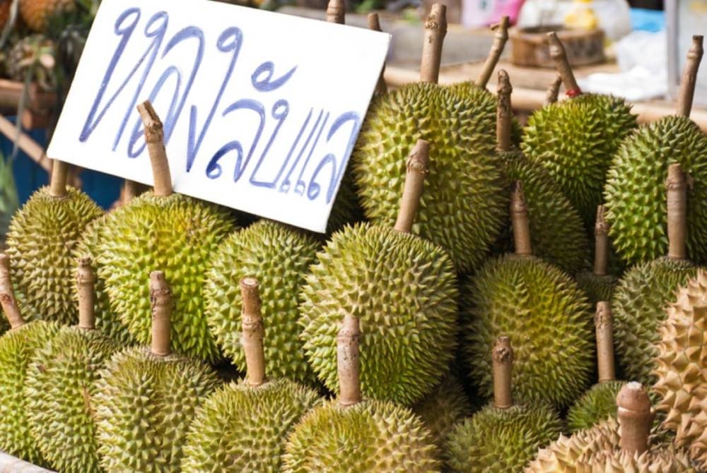 Eksport durian Thailand melonjak ke China. - Foto Agensi