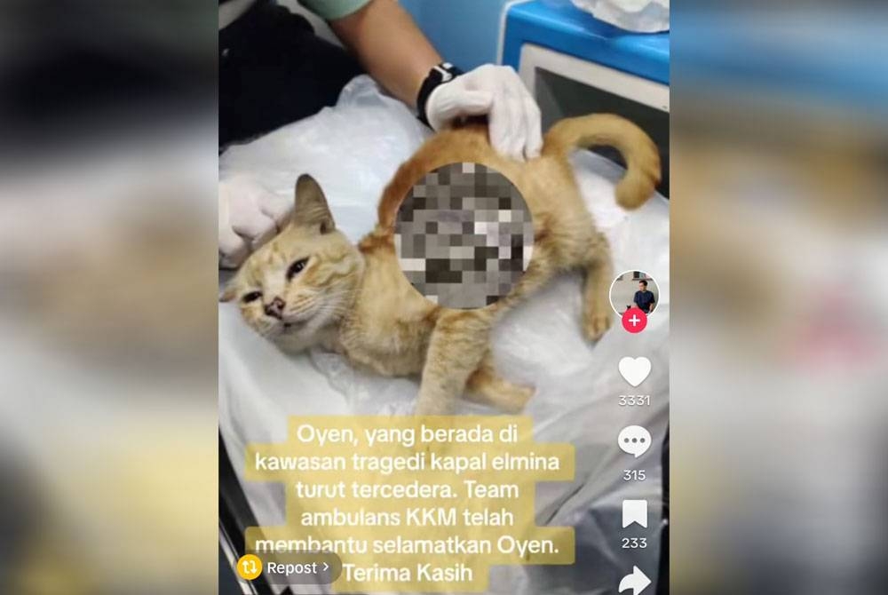 Tangkap layar video yang dikongsi Zul Erwan.