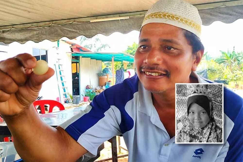 Muhammad Nizam menunjukkan buah rambutan yang dimakan Iman. Gambar kecil: Nur Iman Fitriah