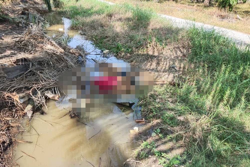 Mayat lelaki ditemukan orang awam tertiarap dalam parit di Rungkup, Teluk Intan pada Rabu. - Foto ihsan polis