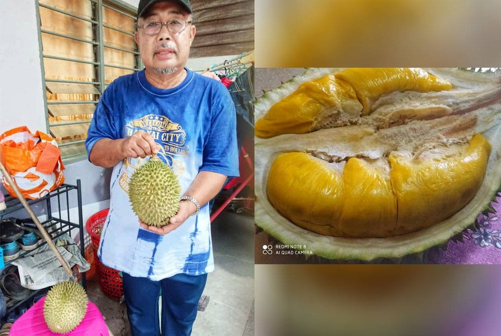 Abd Manan bersama durian Jok Bilang yang ditanam oleh bapanya sejak lebih 30 tahun lalu