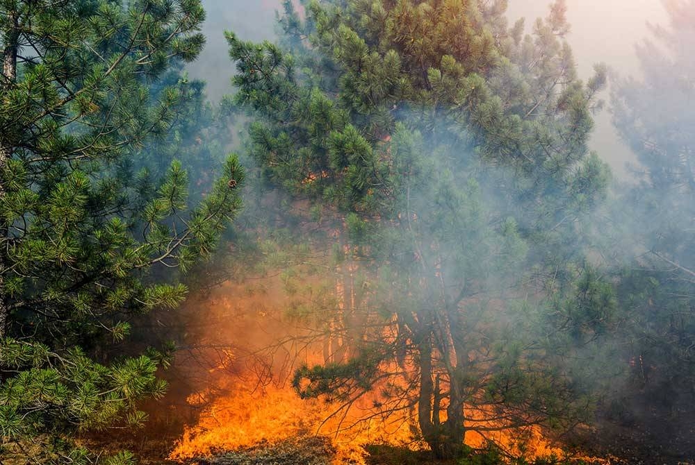 Kebakaran hutan yang merebak dengan pantas berhampiran Huntsville, timur Texas, mencetuskan pemindahan dan penutupan lebuh raya pada malam Jumaat. Foto hiasan 123RF