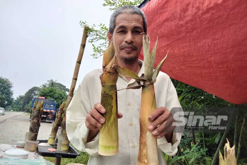 Mohd Noor menunjukkan rebung yang dijual di hadapan rumahnya di Jalan Pasir Mas-Tanah Merah.