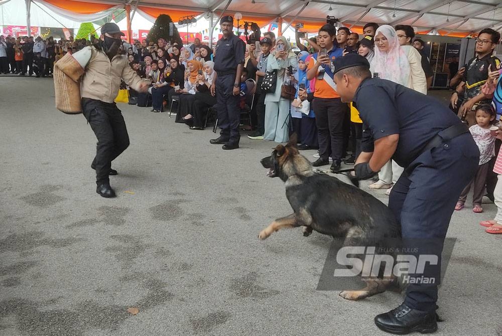 Demonstrasi pameran dari Unit Anjing Pengesan (K9) Polis Diraja Malaysia memeriahkan sambutan Karnival Pendidikan Sinar Bestari di Dataran Karangkraf, Shah Alam pada Jumaat.