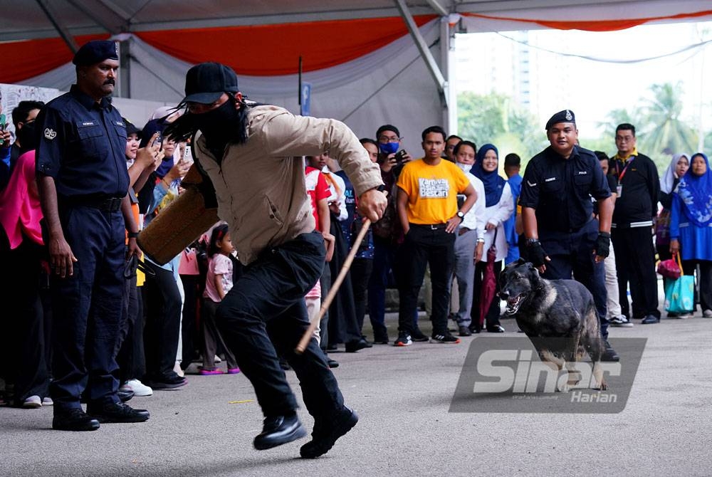 Leo daripada Unit K9 IPD KLIA bertindak menyerang seorang penjenayah yang bertindak keterlaluan.- Foto Sinar Harian / MOHD HALIM ABDUL WAHID