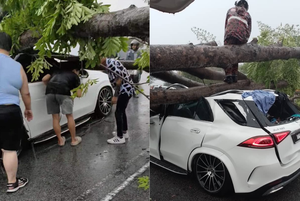 Kejadian pokok tumbang menyebabkandua beranak terperangkap dalam kereta sebelum pasukan bomba tiba di lokasi kejadian di Ipoh. Foto: ihsan pembaca