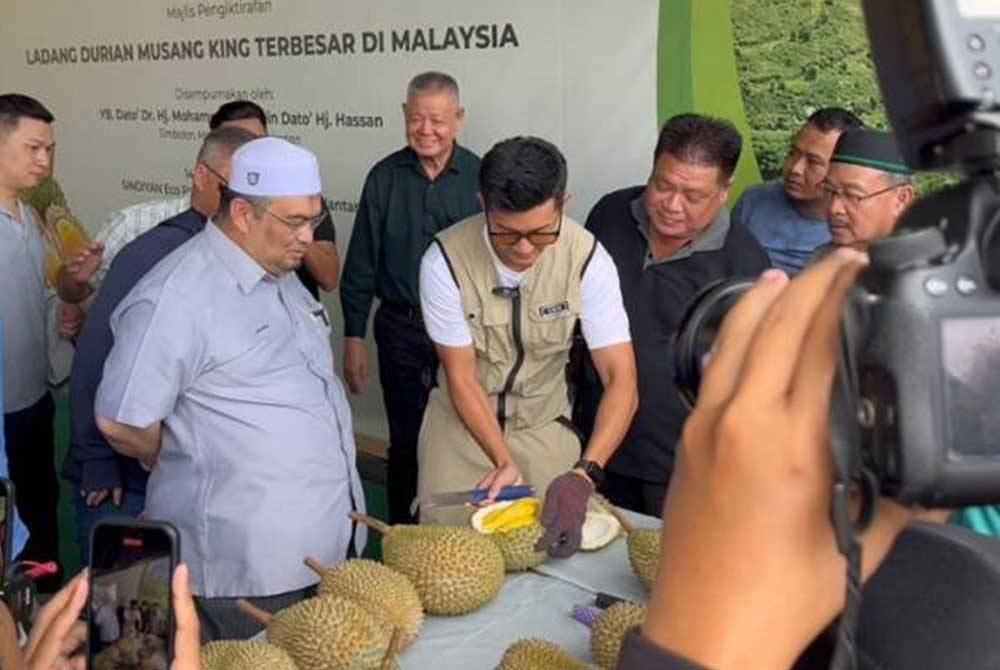 Mohamed Fadzli (kiri) ketika Majlis Pengiktirafan Malaysia Book Of Records kepada pihak Sindiyan yang dinobatkan sebagai ladang durian Musang King terbesar di Malaysia. - Foto Awani