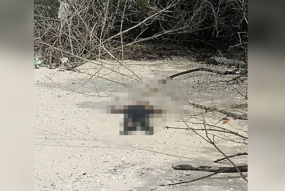 Mayat mangsa ditemui terdampar di tepi Pantai Siput Bumi Hijau, Sungai Air Tawar di sini pada Jumaat.