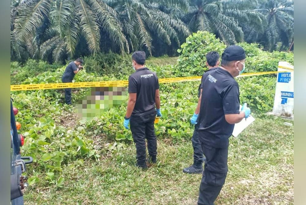 Mayat lelaki tanpa identiti dengan 18 kesan tikam ditemui di tepi jalan kebun sawit, Ladang Gadek, Kemuning Sabtu lalu.