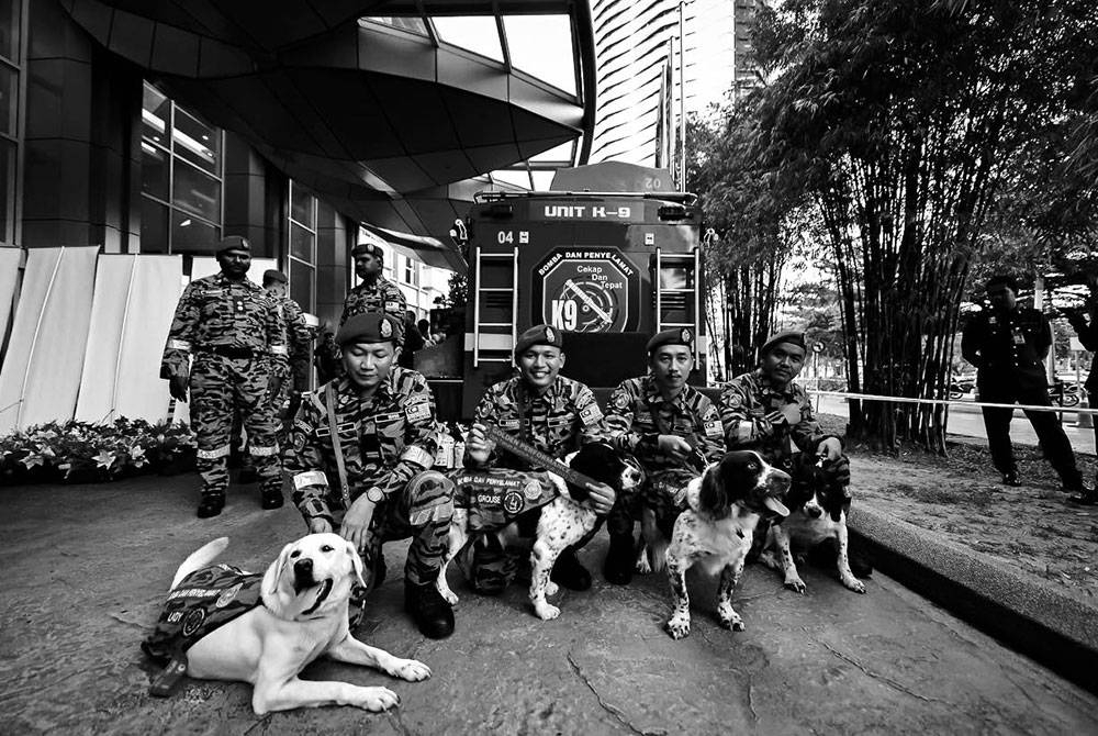 Empat anjing unit K9 JBPM yang diberikan pingat 'Golden Performance' kerana peranan dalam operasi mencari dan menyelamat mangsa tragedi tanah runtuh Batang Kali di Selangor pada 16 Disember lalu.