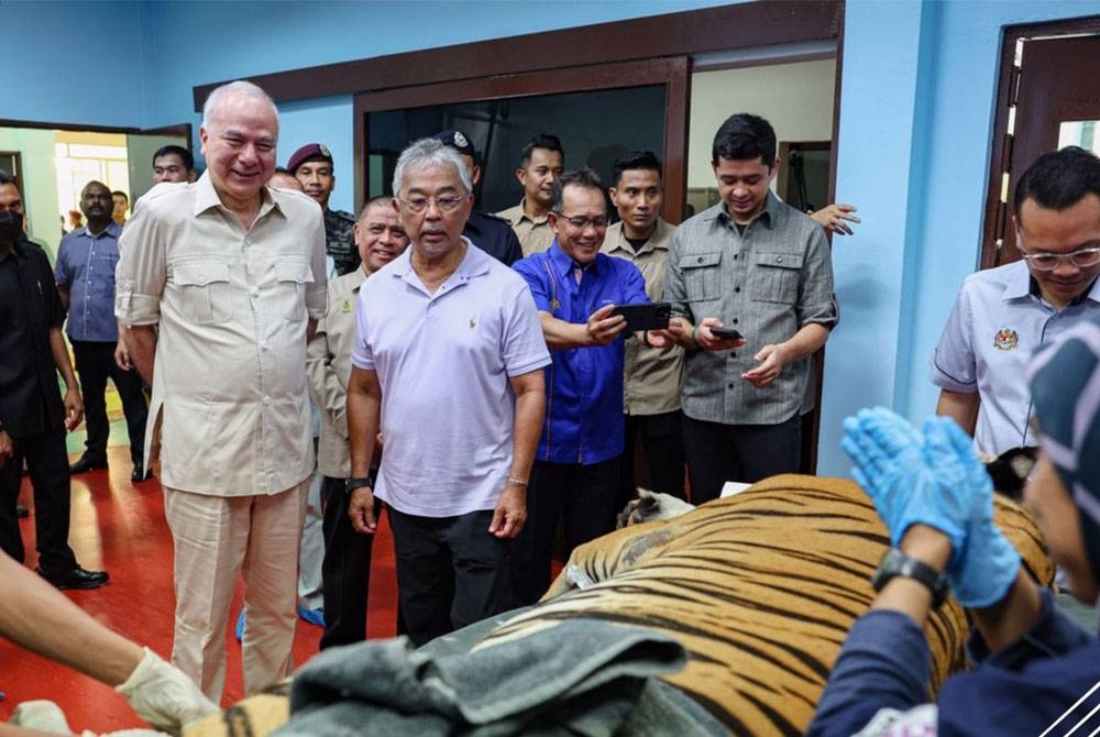 Yang di-Pertuan Agong Al-Sultan Abdullah Ri&#039;ayatuddin Al-Mustafa Billah Shah pada Khamis berkenan berangkat ke Pusat Menyelamat Hidupan Liar Kebangsaan (NWRC) di Sungkai. Sultan Perak Sultan Nazrin Shah dan Pemangku Raja Pahang Tengku Mahkota Tengku Hassanal Ibrahim Alam Shah turut berkenan menyertai lawatan itu. - Foto Bernama