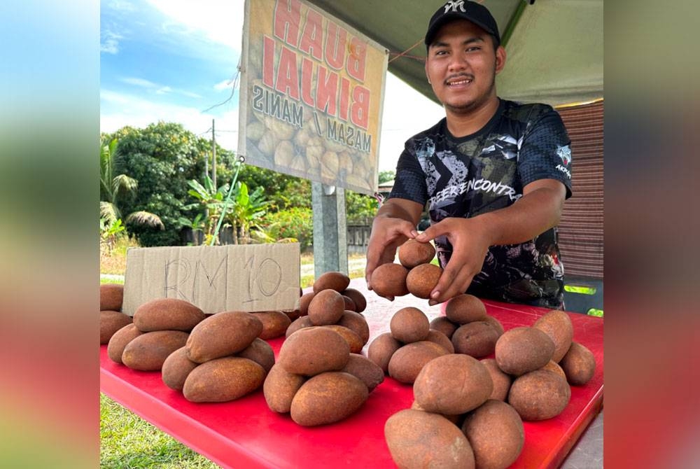 Buah binjai yang dijual oleh Muhammad Akram di tepi jalan di Jalan Machang - Kuala Krai di Machang.