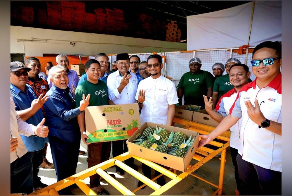 Sheikh Umar (depan, tiga dari kanan) bersama sebahagian peserta ladang kontrak bagi penanaman nanas MD2.