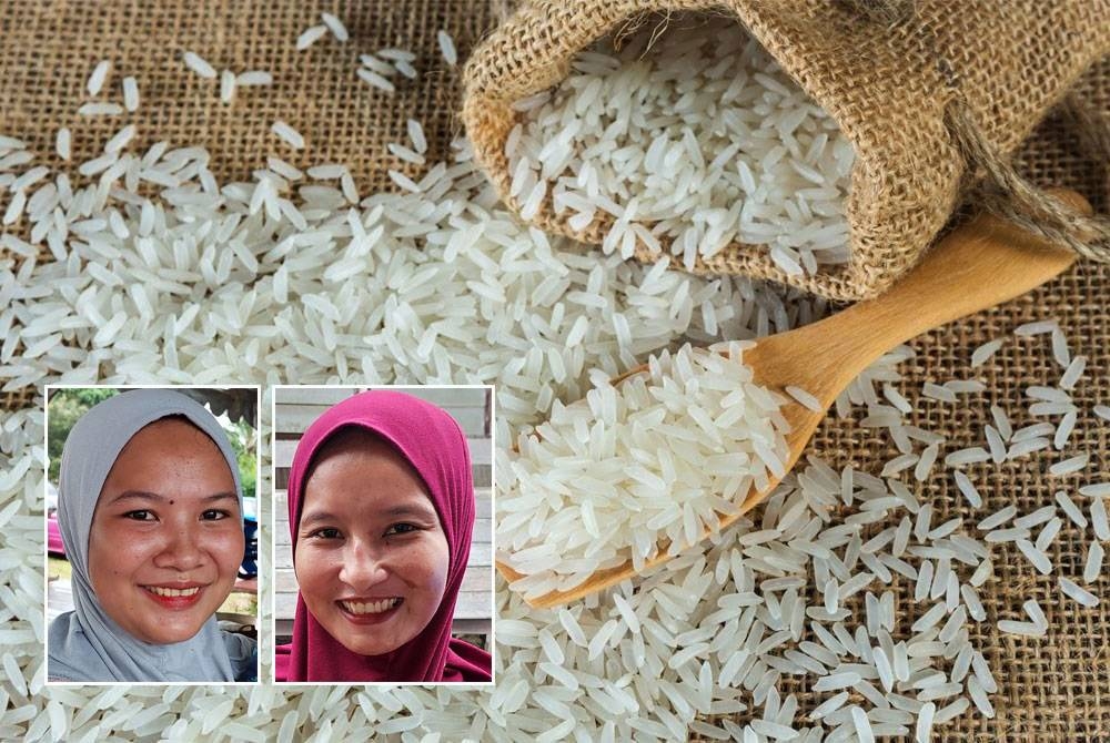 Kesukaran mendapatkan beras tempatan dalam pasaran menyebabkan rakyat di negeri ini tiada pilihan terpaksa membeli beras putih import. - Gambar hiasan, gambar kecil dari kiri: Ika, Safira