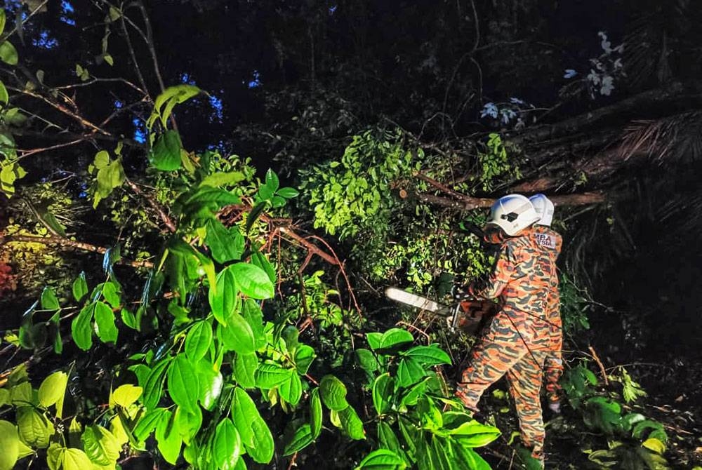 Anggota bomba sedang melakukan Kerja-kerja memotong pokok bagi membuka laluan yang terjejas akibat kejadian.