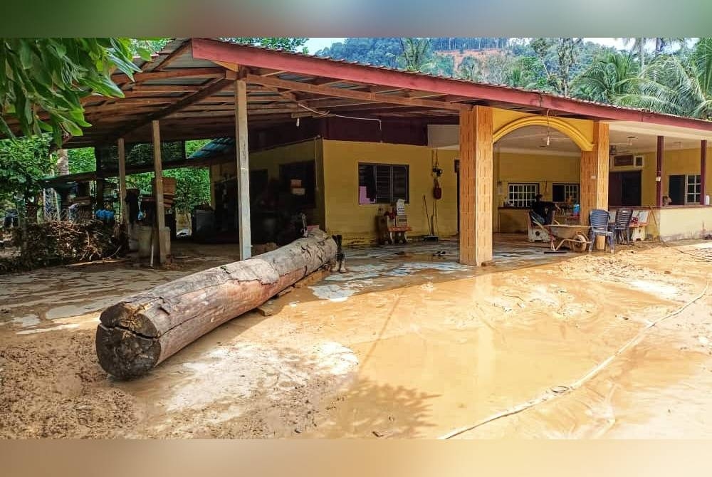 Kayu balak yang dihanyutkan air banjir ke rumah penduduk.