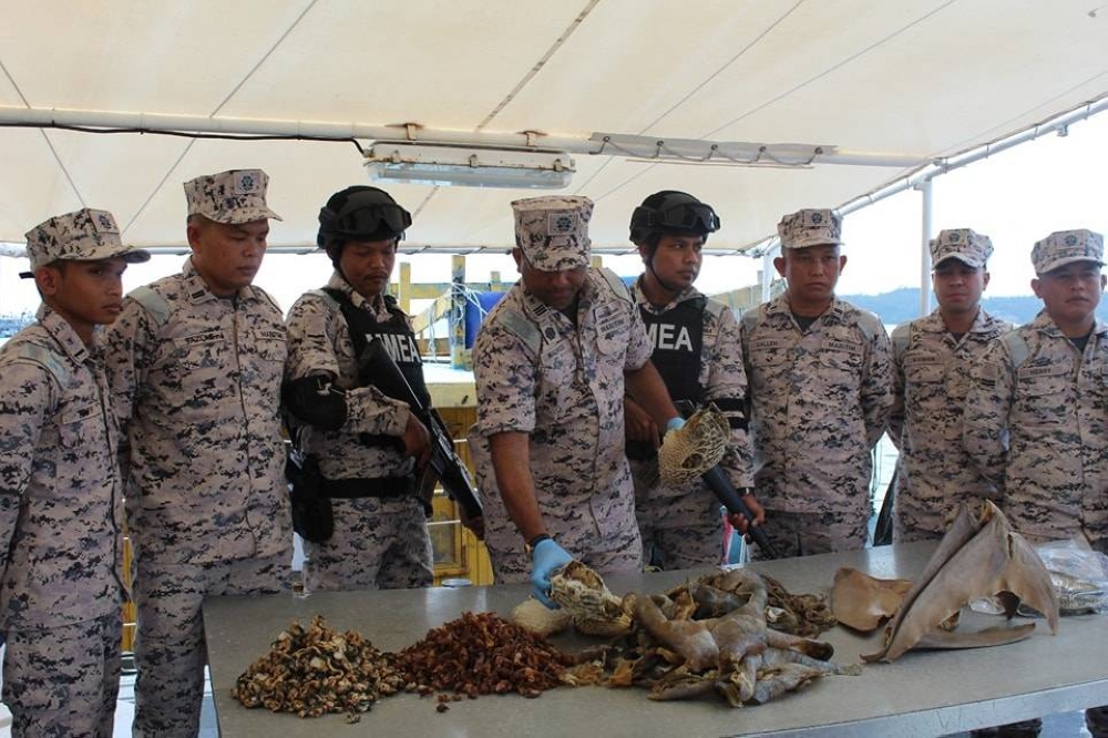 Maritim Malaysia merampas pelbagai hasil laut spesies terancam susulan penahanan dua bot pancing di kawasan perairan Barat Laut Mengayau, Rabu lalu. - Foto Maritim Malaysia