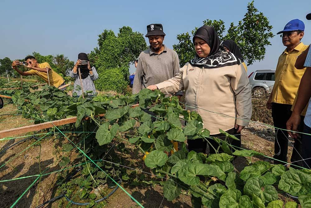 Rubiah (dua dari kanan) melihat tanaman sayur ketika mengadakan lawatan di Taman Agroteknologi Pertanian Lembaga Kemajuan Wilayah Pulau Pinang (PERDA) pada Sabtu. - Foto: Bernama