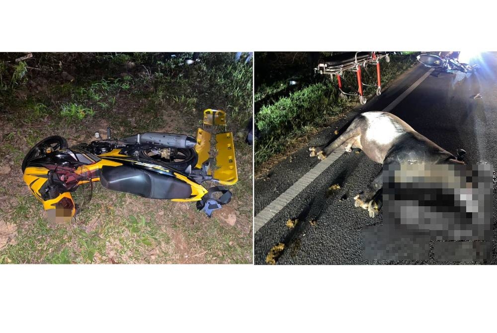 Motosikal yang terlibat kemalangan dengan tapir di Kilometer 79 Jalan Kota Tinggi - Kluang berhampiran Taman Sri Impian Kluang, pada Rabu malam.