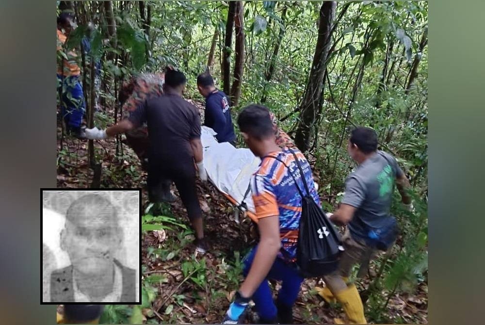 Mayat mangsa selepas berjaya dibawa turun dari pokok dokong di kampung Dusun Beliku, Jertih, di Besut. - Foto Ihsan BOMBA. Gambar kecil: SAA&#039;RI