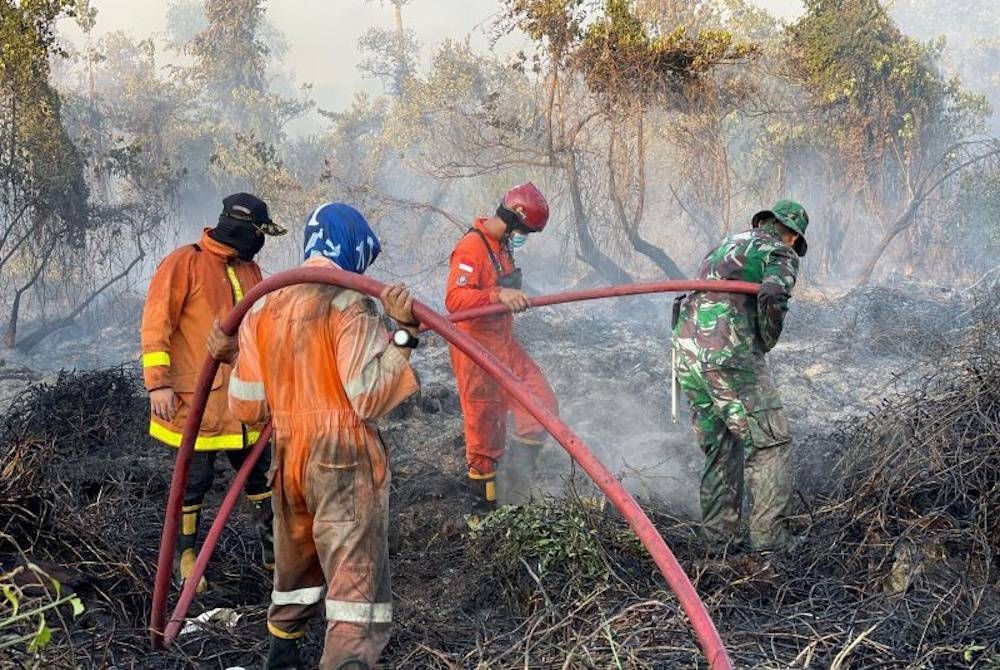 Pasukan gabungan kebakaran Provinsi Kepulauan Bangka Belitung berjibaku memadamkan kebakaran hutan. - Foto Antara