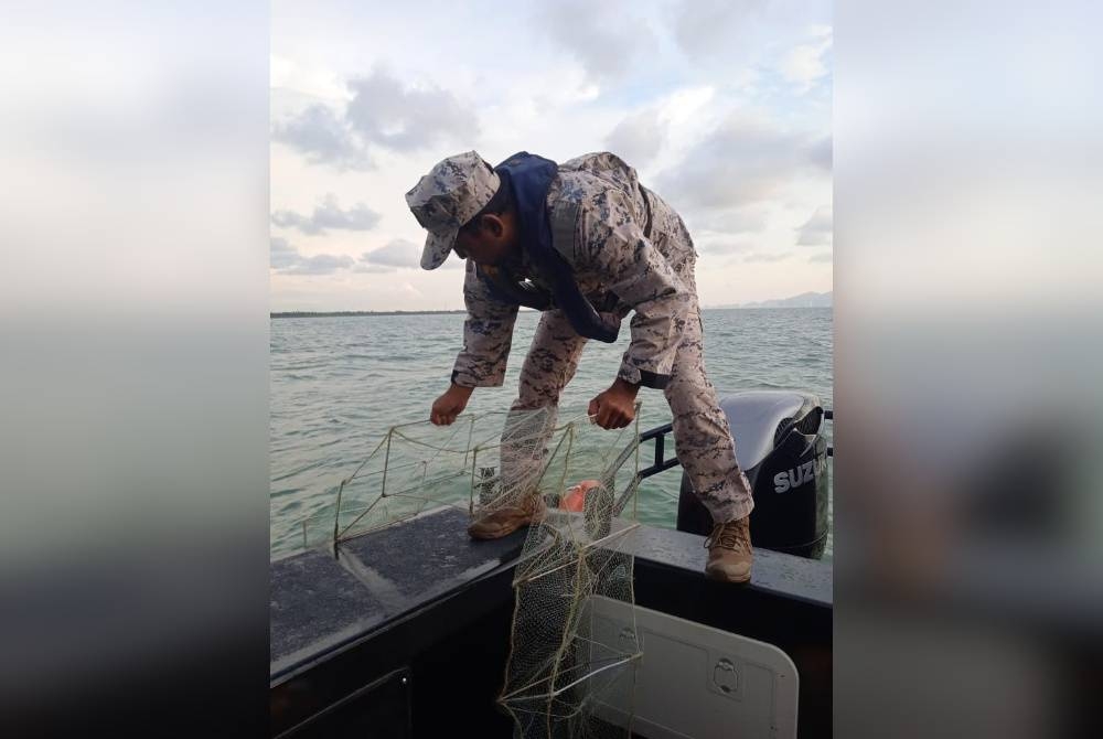 Anggota Maritim Malaysia merampas bubu naga dalam empat siri rampasan sekitar perairan Tanjung Dawai hingga ke perairan Kuala Kedah.