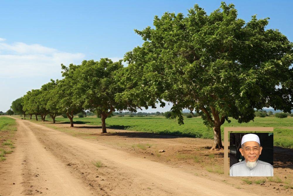 ANDAI anda ada tanah kebun yang ingin diwakafkan manfaatnya demi syiar Islam atau untuk kebajikan anak-anak yatim, sesunggunya anda sangat beruntung kerana pahala yang diperoleh kekal berterusan bagaikan sungai yang mengalir. -Gambar hiasan/ Foto kecil: PROF MUHAMMAD SYUKRI SALLEH