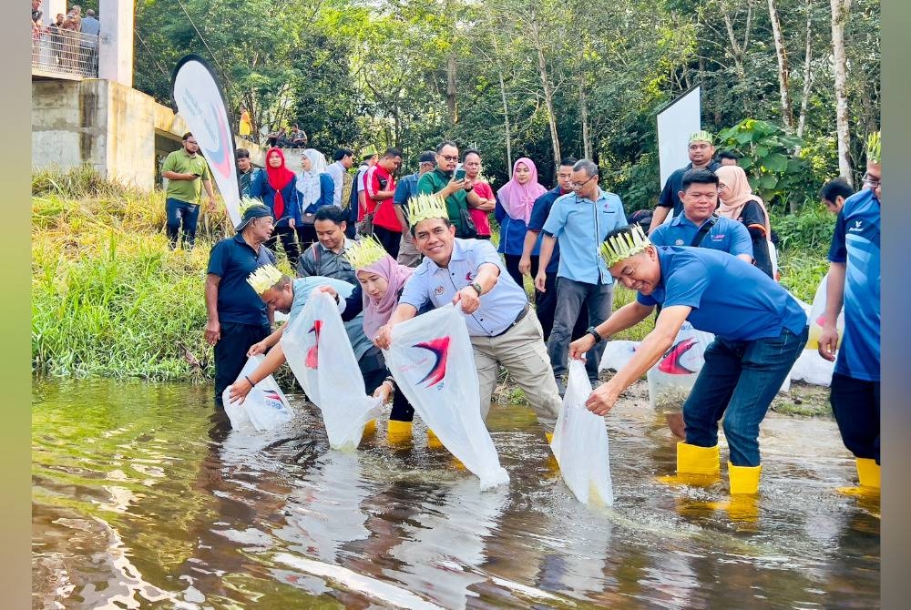 Abdullah (tengah) melepaskan kira-kira 43,000 ekor benih ikan spesies lampam sungai, terbul dan sebarau di Sungai Kerau, Kampung Pian, Temerloh.