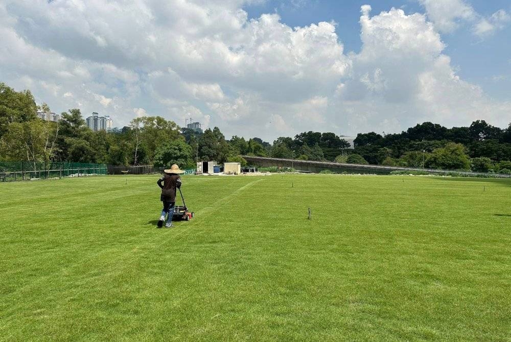 Sebuah tapak semaian rumput Zeon Zoysia turut terletak berhampiran Stadium Nasional. - Foto Facebook Hannah Yeoh