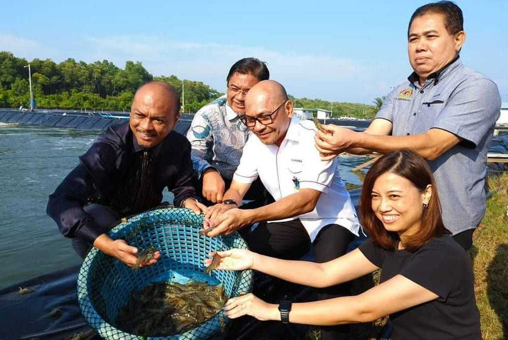 Fairul Nizam (kiri) melihat hasil ternakan udang putih di Zon Industri Akuakultur (ZIA) Sempang, Merlimau di sini, pada Khamis.