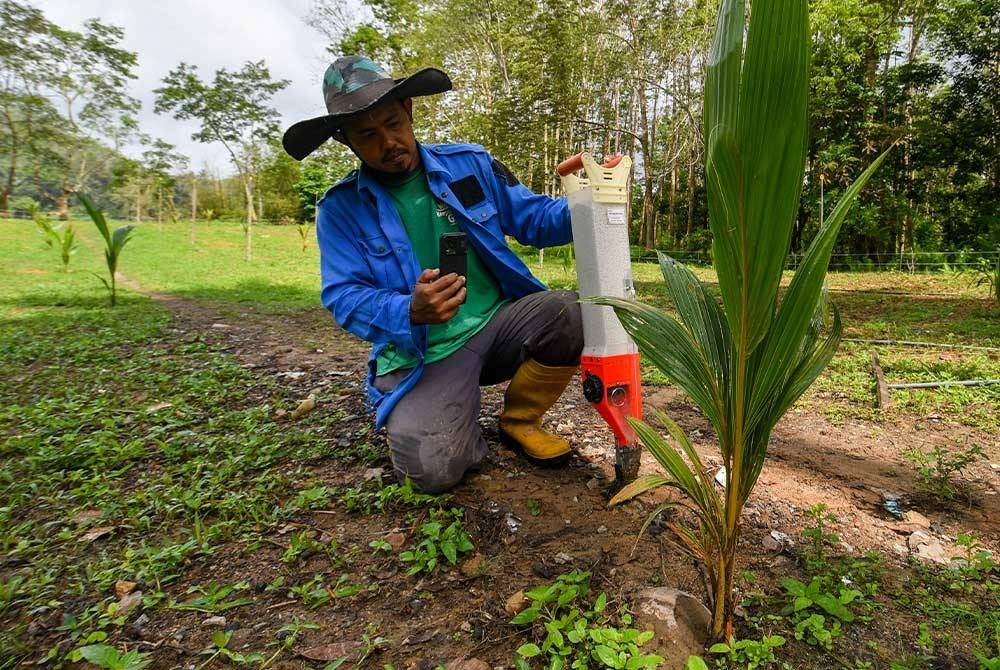 Kerajaan perlu menyediakan lebih banyak tanah pertanian bagi menggalakkan penyertaan pihak swasta, menerap teknologi moden dan AI bagi meningkatkan kualiti benih dan produktiviti hasil tanaman. - Gambar hiasan