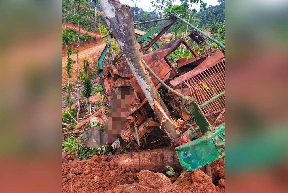 Lelaki warga Myanmar maut selepas lori dipandunya terjunam ke dalam gaung di kawasan pembalakan Hutan Simpan Jelai dekat Sungai Koyan pada Sabtu. - Foto: Ihsan PDRM