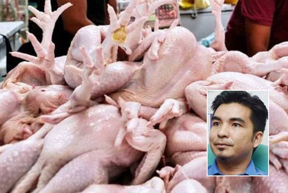 Pelaksanaan apungan harga ayam dan telur dijangka menyaksikan kenaikan harga dua barangan ini selepas tarikh 30 Oktober ini. Gambar kecil: Mohamad Yusrizal