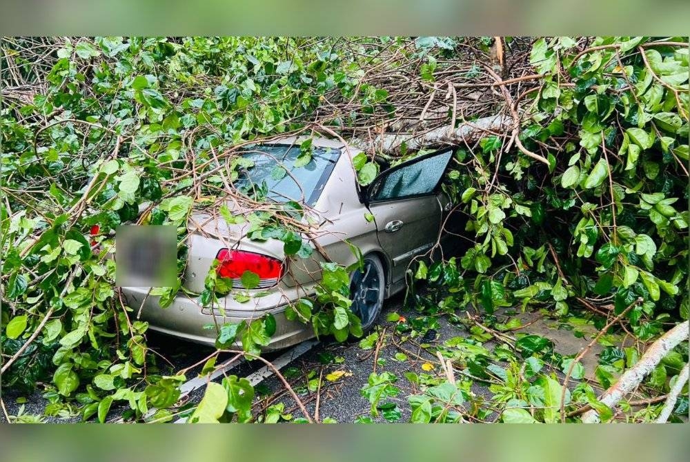 Terdapat seorang mangsa lelaki berusia 74 tahun terperangkap di dalam kenderaan tersebut dan tidak sedarkan diri. - Foto bomba