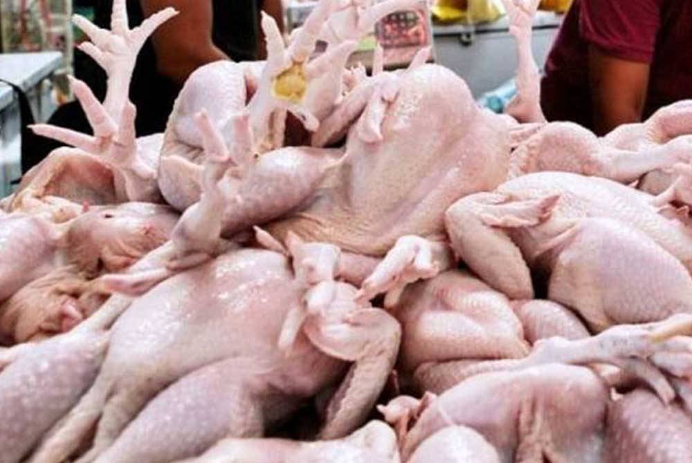 Pengguna di Sarawak dinasihatkan agar tidak membuat pembelian panik susulan pengumuman penamatan subsidi dan kawalan harga ayam yang berkuat kuasa Rabu ini. - Gambar hiasan