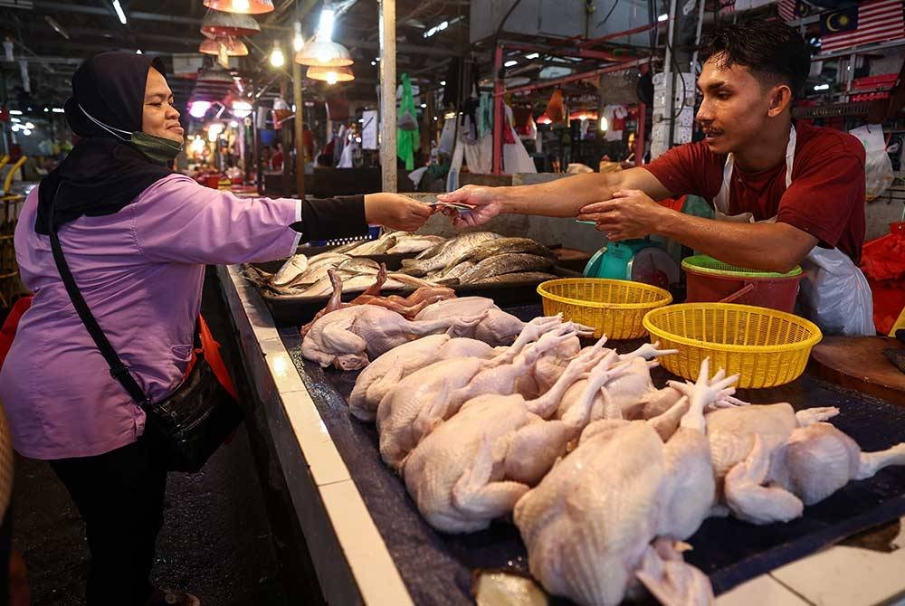 Tinjauan di Pasar Chow Kit ketika orang ramai membeli barangan basah di sini, pada Isnin. - Foto Bernama
Menteri Pertanian dan Keterjaminan Makanan Datuk Seri Mohamad Sabu berkata kerajaan memberi jaminan tidak akan berlaku kenaikan harga ayam secara mendadak susulan langkah penamatan subsidi dan kawalan harga ayam berkuat kuasa 1 November ini.
Penamatan subsidi ayam itu diambil selepas mengambil kira situasi dan trend semasa bekalan serta harga ladang dan kos pengeluaran ayam telah mula stabil, yang menyumbang kepada harga pasaran semasa kini di bawah harga siling, iaitu RM9.40 sekiilogram yang ditetapkan sejak Februari tahun lalu.
--fotoBERNAMA (2023) HAK CIPTA TERPELIHARA