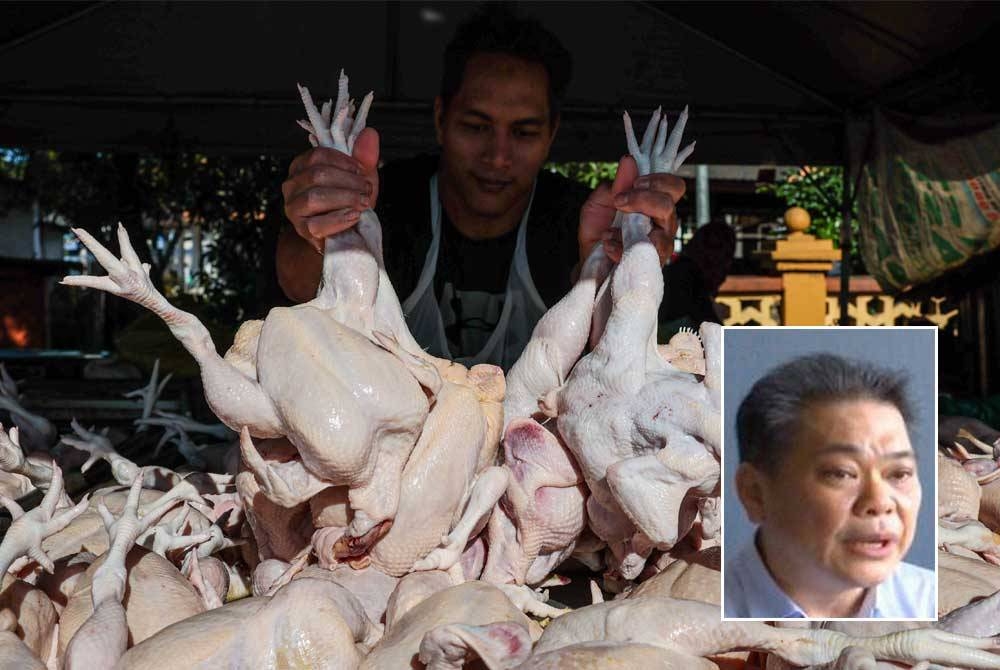 Peniaga, Mohd Fadlysam Daud, 39, menyusun ayam proses segar yang dijual pada harga RM8.29 sekilogram bagi pembelian secara borong dan RM9 (runcit) semasa tinjauan di Gong Pauh, Kuala Terengganu pada Isnin. Gambar kecil: Jeffery Ng