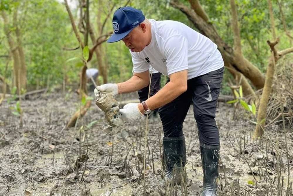 Zulkiflee sedang menanam anak pokok bakau pada program ’Beach & Mangrove Cleaning 2023’ telah menanam 200 anak pokok bakau di Kampung Sungai Aceh, Pulau Pinang, baru- baru ini.