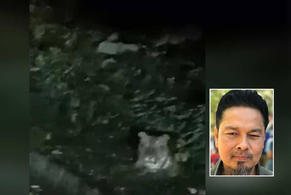 Tangkap layar video yang tular menunjukkan kelibat harimau belang di Pos Kuala Mu, Sungai Siput diselepas dipercayai dirakam penduduk setempat. Gambar kecil: Yusoff