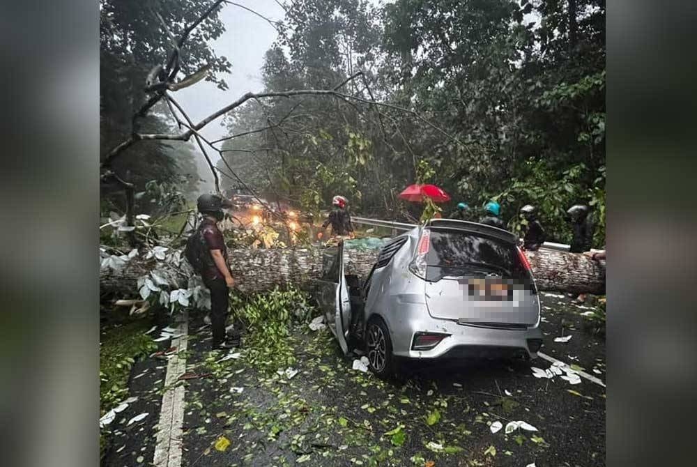 Foto dikongsi pengguna media sosial yang menunjukkan sebuah Perodua Alza dihempap sebatang pokok di Jalan Ulu Yam-Gombak pada petang Selasa.