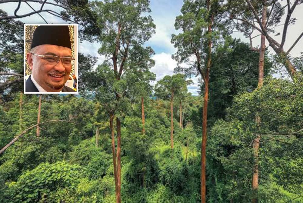 Kerajaan Kelantan masih mengekalkan keluasan Hutan Simpan Kekal dan hanya mengeluarkannya daripada kawasan yang ditakrifkan KSAS. (Gambar hiasan) Gambar kecil: Mohamed Fadzli