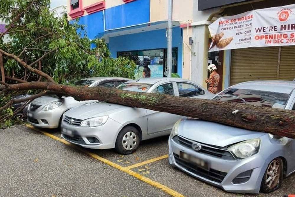 Sebatang pokok menghempap lima kereta di Jalan PJU 5/15 di Kota Damansara.