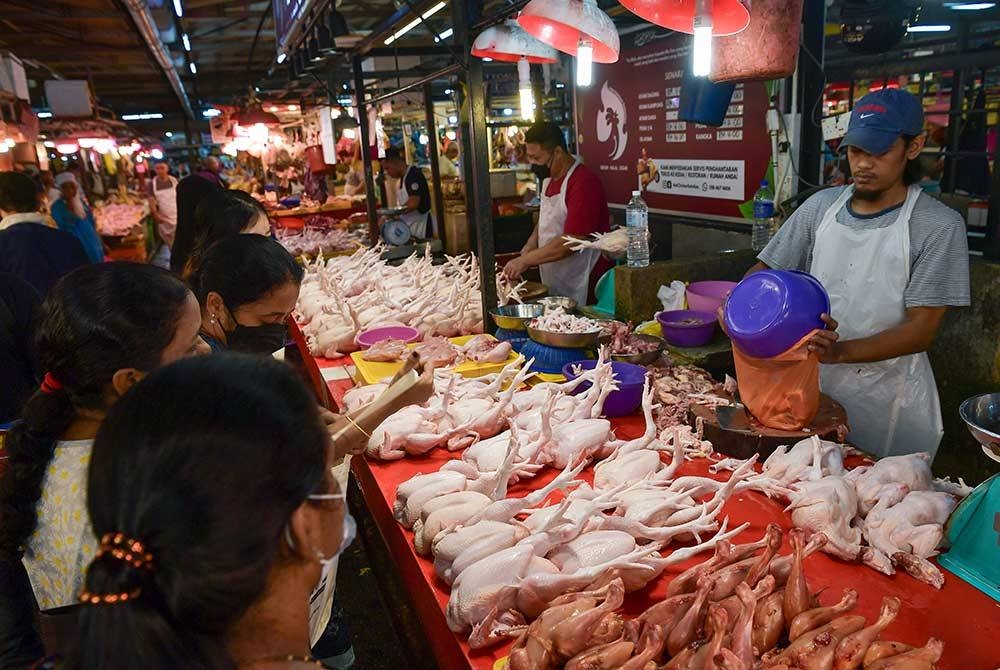 Peniaga menjual ayam ketika tinjauan di pasar basah sekitar Kuala Lumpur.