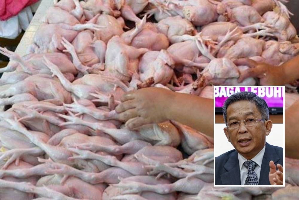 Kerajaan Negeri Sembilan memberi jaminan tiada peniaga atau pembekal di negeri ini akan mengambil kesempatan terhadap penamatan subsidi dan kawalan harga ayam. (Gambar kecil: Jalaluddin)