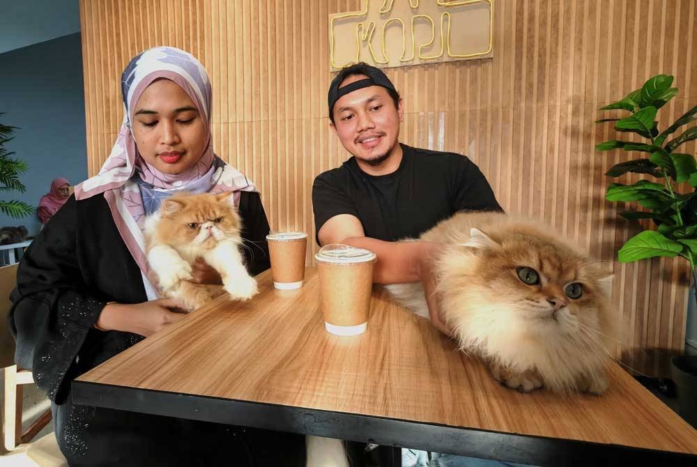 Muhammad Syafiq dan Nazatul Faseha ingin lebih ramai menikmati keseronokan bermain bersama kucing.