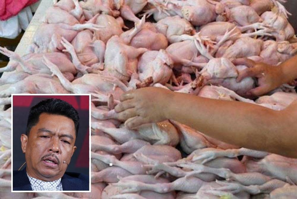 Kerajaan tidak akan kembali mewujudkan subsidi ayam secara pukal kerana ianya tidak akan membantu rakyat yang benar-benar memerlukan. - Gambar hiasan. Gambar kecil: Badrul Hisham