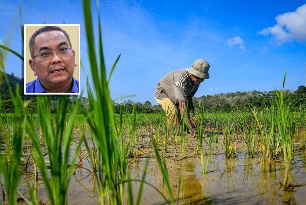 Sanusi saran kuota benih padi sah (BPS) diberikan kepada pihak yang menguruskan sawah sepenuhnya. Gambar kecil: Sanusi