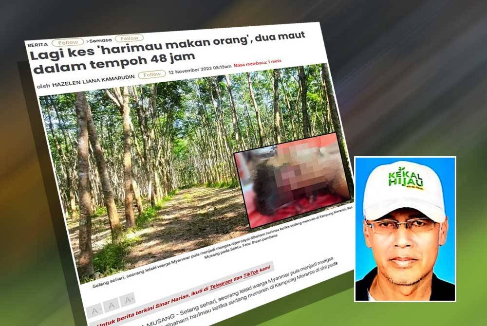 SAM berpandangan kerajaan Kelantan perlu mendengar nasihat daripada kerajaan pusat melibatkan pengurusan hutan di negeri ini. Gambar kecil: Meor Razak