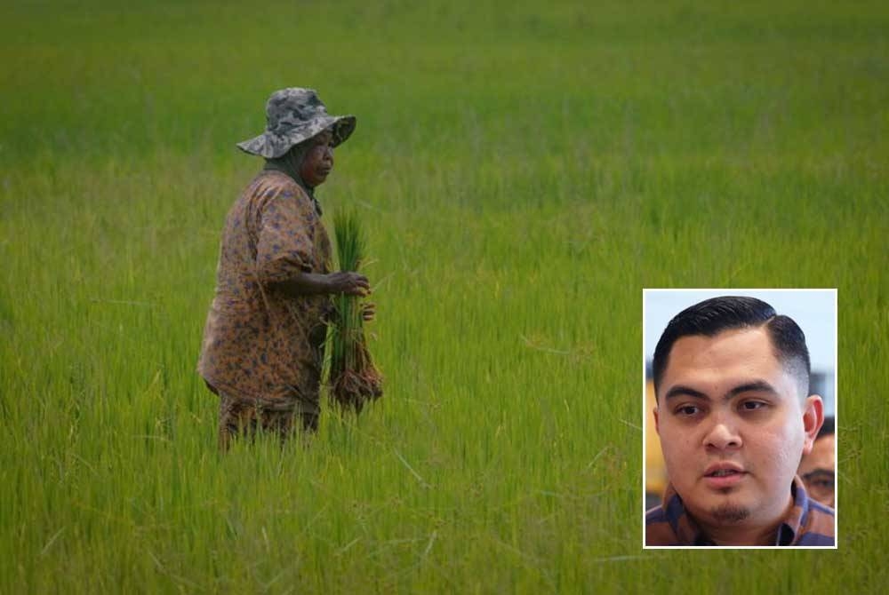 Akmal (gambar kecil) berkata, pesawah di negara ini perlu diperkasakan semula menerusi penubuhan koperasi bagi memajukan sistem pengeluaran padi dengan lebih baik.